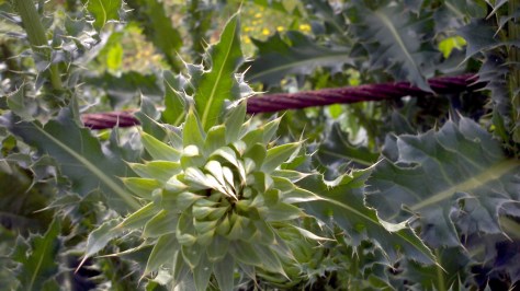 2013-06-13_15-48-19_276