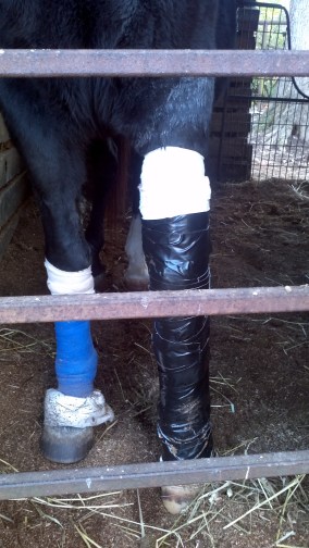 2013-11-07_16-09-18_686