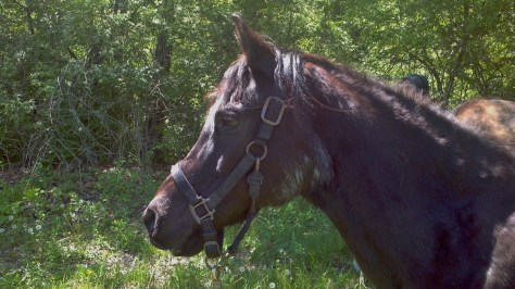 2014-05-10_12-08-11_631