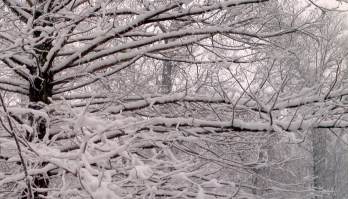 2013-03-24_18-35-48_653