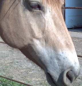 2014-06-03_17-41-12_601