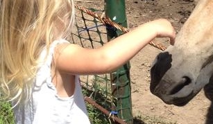 10557189_10152163740116441_9004527298024650714_n