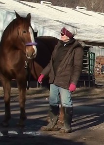 20150225 Nevada 2 (a4)